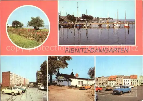 Ribnitz Damgarten Ostseebad Gruenanlagen Seglerhafen Gdansker Strasse Sportlerheim Marktplatz Kat. Ribnitz Damgarten