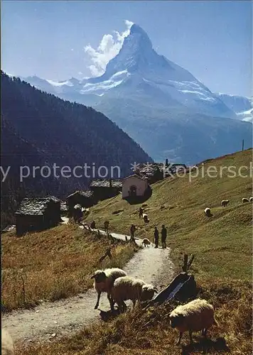 Findelen VS mit Matterhorn Kat. Findeln Findelen