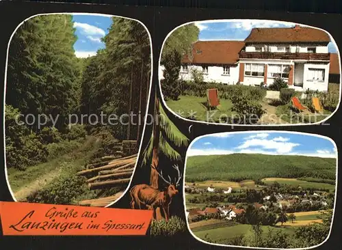 Lanzingen Pensionshaus Spessartblick Waldweg Panorama Kat. Biebergemuend