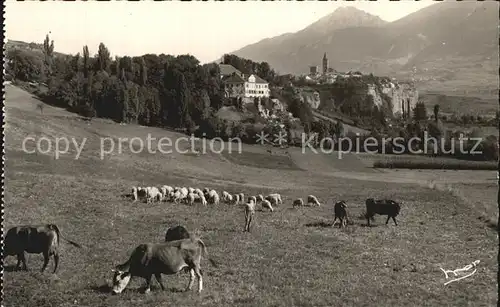 Embrun Chateau de la Robeyre et le Roc des vaches Kat. Embrun