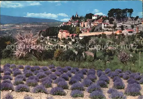 Provence Region Village et Cahmp de Lavande Kat. Aix en Provence