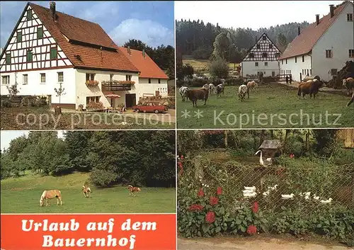 Velden Mittelfranken Urlaub auf dem Bauernhof Kat. Velden Pegnitz