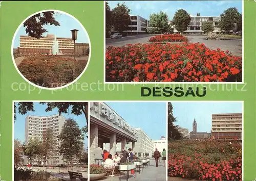 Dessau Rosslau Bauhaus Cafe Africana  Kat. Dessau Rosslau