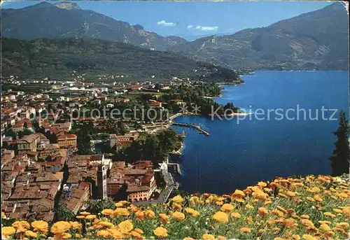 Riva del Garda Seepanorama Kat. 