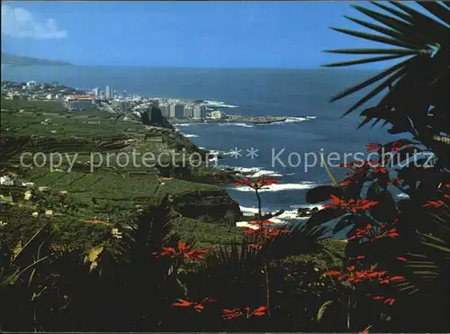 Tenerife Kuestenpanorama Kat. Islas Canarias Spanien