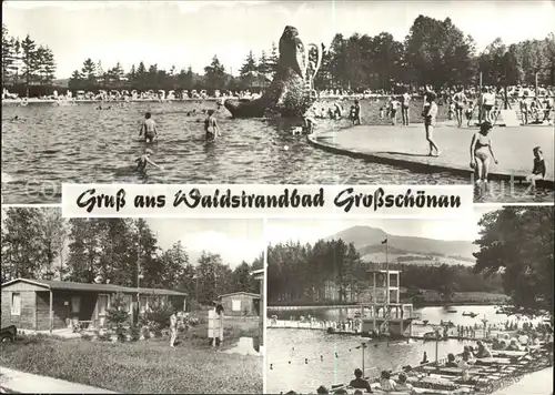 Grossschoenau Sachsen Waldstrandbad Kat. Grossschoenau Sachsen