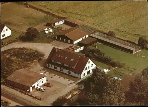 Schoenberg Holstein Pony-Hof Momberg / Schoenberg (Holstein) /Ploen LKR