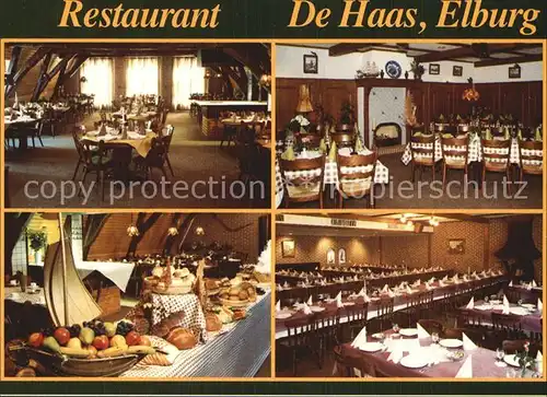 Elburg Restaurant De Haas Kat. Niederlande