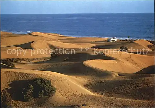 Playa del Ingles Gran Canaria Duenen Kat. San Bartolome de Tirajana