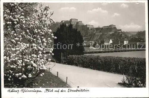 Koblenz Rhein Rheinanlagen Blick zum Ehrenbreitstein Kat. Koblenz