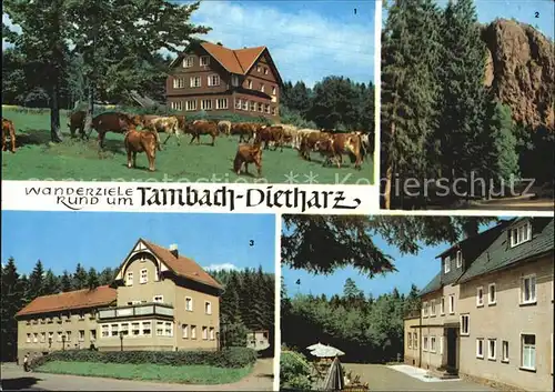 Tambach Dietharz Berghotel Ebertswiese Falkenstein Radebachmuehle Waldbaude Kat. Tambach Dietharz