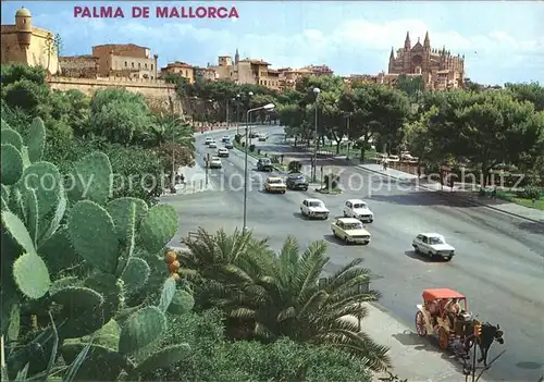 Palma de Mallorca Stadtansicht  Kat. Palma de Mallorca