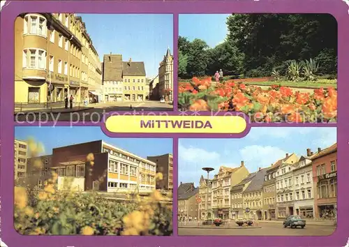 Mittweida Markt Schwanenteich Poliklinik  Kat. Mittweida