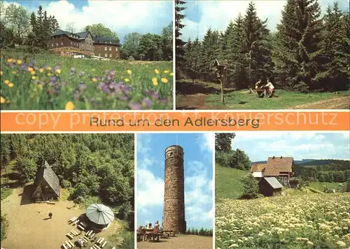 Adlersberg Stutenhaus Bergbaude Turm  Kat. Schmiedefeld Rennsteig
