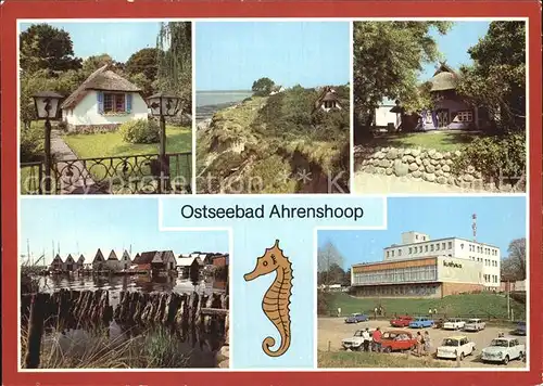 Ahrenshoop Ostseebad Haeuschen am Boddendeich Hohes Ufer Kunstkaten Kurhaus Hafen Kat. Ahrenshoop