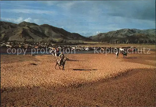 Mongolei Horsemen Tsetserling Somon Kat. Mongolei