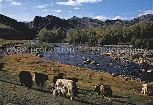 Mongolei Bogdyn Gol River Zabhan Aimak Kat. Mongolei