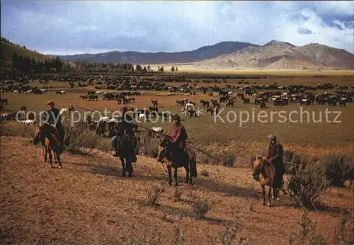 Mongolei Herdsmen with Lasso Kat. Mongolei