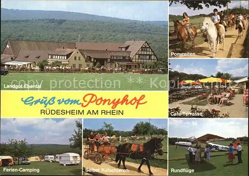 Ruedesheim Rhein Landgut Ebental Ponyreiten Ferien Camping Cafe Terrasse  Kat. Ruedesheim am Rhein