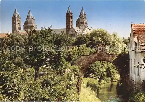 Speyer Rhein Dom mit Riegel Durchlassbogen Kat. Speyer