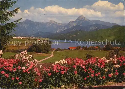 Weissensee Fuessen mit Oberkirch Branderschrofen Hoher Straussberg Saeuling Kat. Fuessen