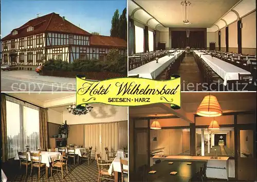 Seesen Harz Hotel Wilhelmsbad  Kat. Seesen