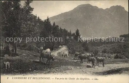Pralognan la Vanoise L Oursiere et Belledonne vue prise du Chalet des Seiglieres des vaches Montagnes Kat. Pralognan la Vanoise