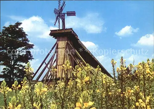 Ciechocinek Teznie solankowe Kat. Polen