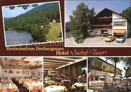 Rothau Tittling Ferienzentrum Dreiburgensee Hotel Seehof Tauer  Kat. Tittling