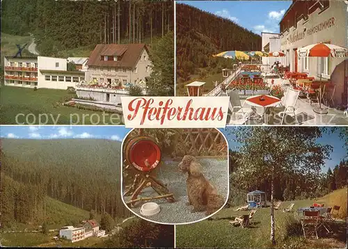 Warmensteinach Waldcafe Pfeiferhaus  Kat. Warmensteinach Fichtelgebirge