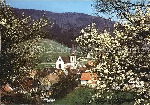 Glottertal Kirche Baumbluete Kat. Glottertal Schwarzwald