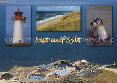 Sylt Leuchtturm Seehund  Kat. Sylt Ost