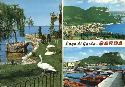 Garda Lago di Garda Schwaene Panorama Bootsliegeplatz