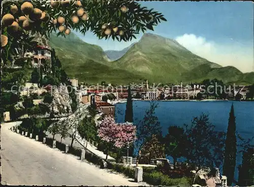Riva Lago di Garda Panorama Kat. 