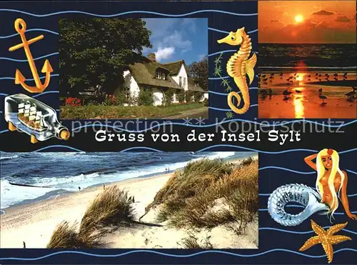 Sylt Duene Friesenhaus Kat. Sylt Ost