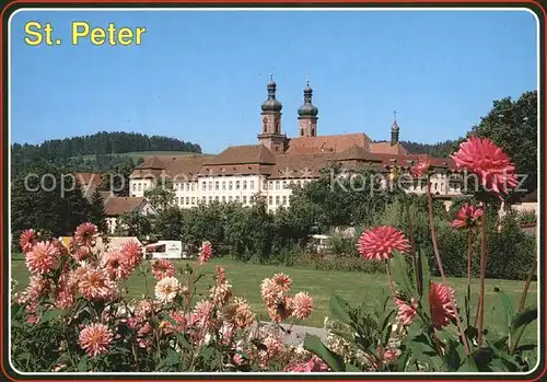 St Peter Schwarzwald Klosterkirche Kloster Kat. St. Peter