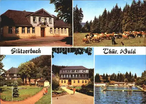 Stuetzerbach Gasthaus Auerhahn Kuhherde Kurpark Schwimmbad Goethehaus Kat. Stuetzerbach