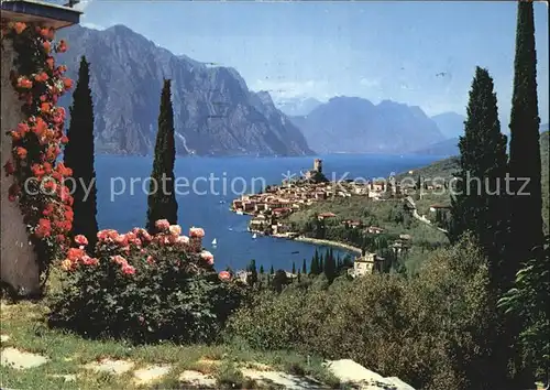 Malcesine Lago di Garda Panorama Kat. Malcesine