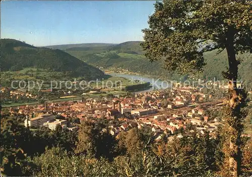 Eberbach Neckar Panorama Kat. Eberbach