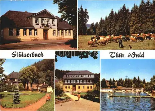 Stuetzerbach Gasthaus Auerbach Kuhherde am Auerbach Goethehaus Kurpark Kat. Stuetzerbach