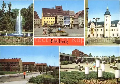 Freiberg Sachsen Scheringerpark Brunnendenkmal Obermarkt Rathaus Kat. Freiberg