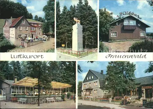 Frauenwald Thueringen FraubachmuehleMonument Milchbar Waldcafe Lenkgrund  Kat. Frauenwald