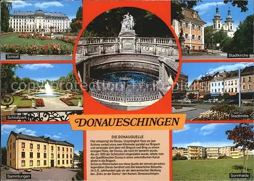 Donaueschingen Schloss Stadtkirche Schlosspark Sonnhalde Sammlungen Kat. Donaueschingen