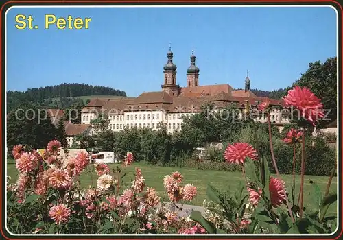 Peter Schwarzwald St Kloster Klosterkirche Kat. St. Peter