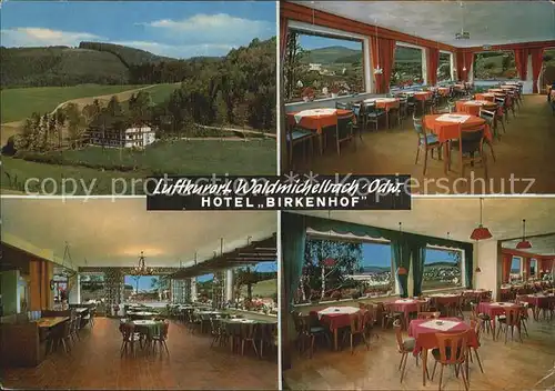 Wald Michelbach Restaurant Birkenhof  Kat. Wald Michelbach