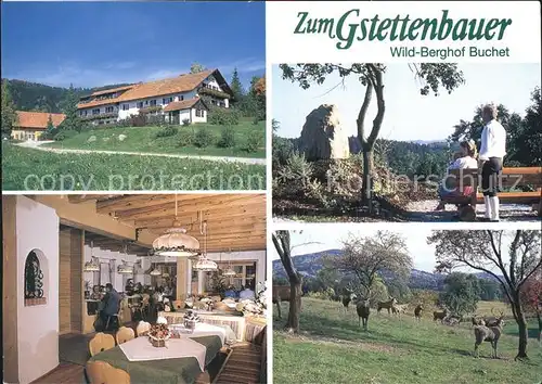 Buchet Bernried Wild Berghof Zum Gstettenbauer Gastraum Park Wildgehege Kat. Bernried