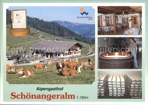 Wildschoenau Tirol Alpengasthof Schoenangeralm Gastraum Kaeserei Lager