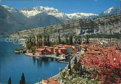 Torbole Lago di Garda Panorama Kat. Italien