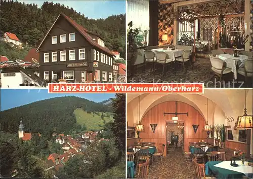 Wildemann Harz Hotel  Kat. Wildemann Harz
