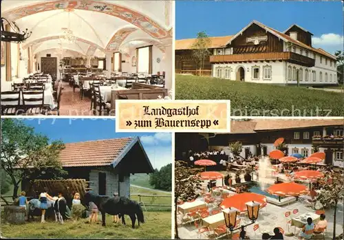 Kiefering Landgasthof zum Bauernsepp Speisesaal Terrasse Pferde Fuetterung Kat. Tuessling